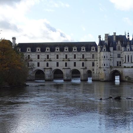 Trainefeuilles - Chambres D'Hotes Proche Zoo De Beauval Le Controis-en-Sologne Zewnętrze zdjęcie