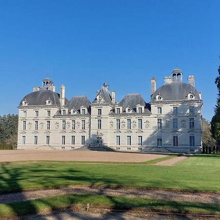 Trainefeuilles - Chambres D'Hotes Proche Zoo De Beauval Le Controis-en-Sologne Zewnętrze zdjęcie