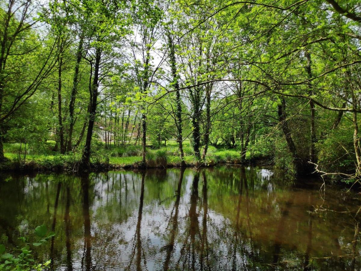 Trainefeuilles - Chambres D'Hotes Proche Zoo De Beauval Le Controis-en-Sologne Zewnętrze zdjęcie